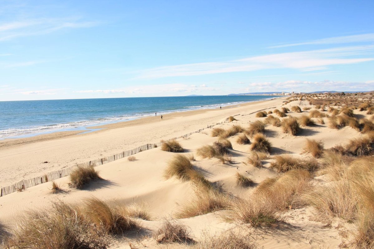 Dunes de l'Espiguette