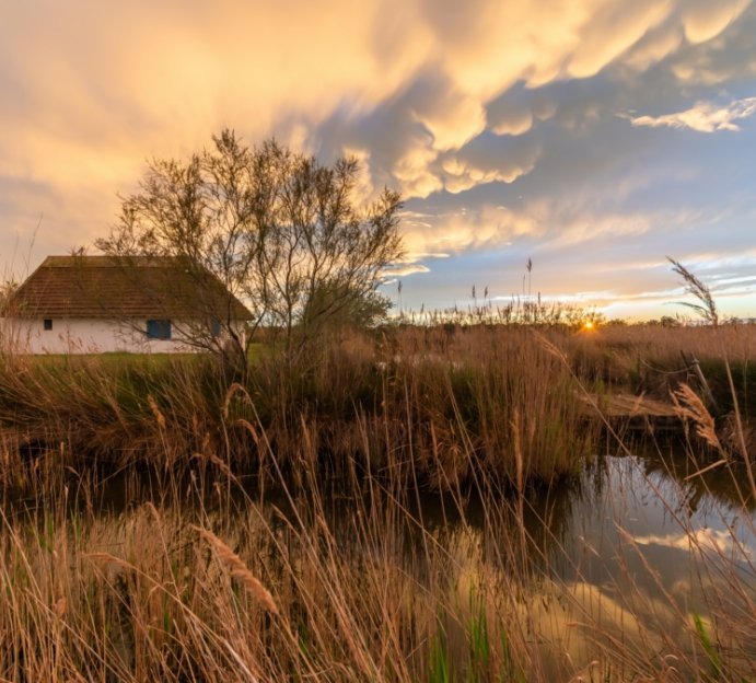 Les Saintes-Maries-de-la-Mer, capitale embl�matique de la Camargue